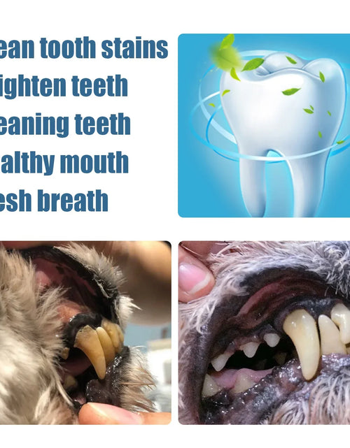 Load image into Gallery viewer, Pet Teeth Cleaner Pen Cats Tartar Dental Stones Remover Fresh Bad Breath Deodorant Reduce Tooth Calculus Dog Oral Cleaning Pen
