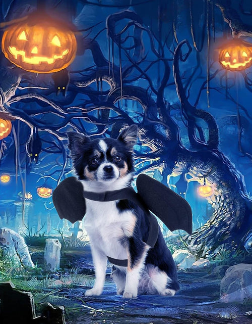 Load image into Gallery viewer, Cat Halloween Costume - Halloween Bat Wings Pet Costumes for Small Dogs Cats Halloween Party Small
