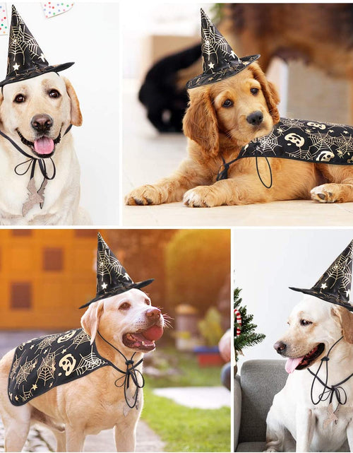 Load image into Gallery viewer, Pet Halloween Costumes Cape with Wizard Hat Dog Cat Halloween Apparels
