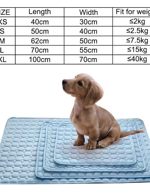 Load image into Gallery viewer, Dog Mat Cooling Summer Pad Mat for Dogs Cat Blanket Sofa Breathable Pet Dog Bed Summer Washable for Small Medium Large Dogs Car
