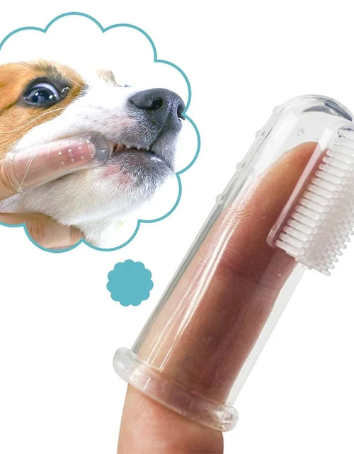 Load image into Gallery viewer, Pet Teeth Cleaner Pen Cats Tartar Dental Stones Remover Fresh Bad Breath Deodorant Reduce Tooth Calculus Dog Oral Cleaning Pen
